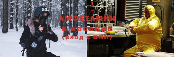 молекула духа Лагань