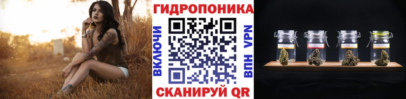 где продают MEGA ONION Канабис марихуана Мосальск